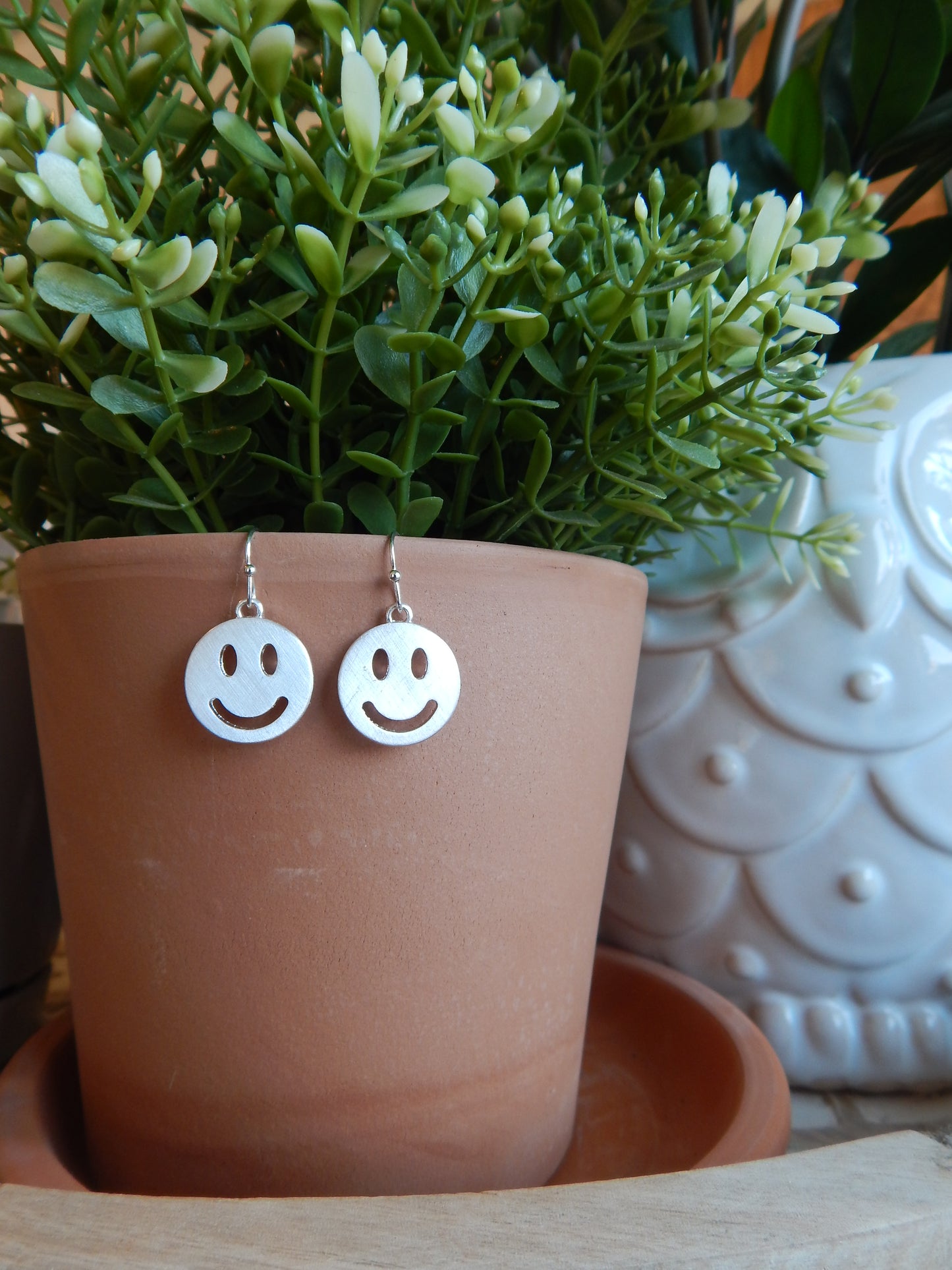 Smile Silver Earrings